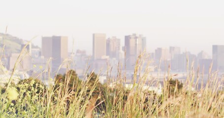 General view of cityscape with multiple modern buildings with meadow in foreground - Powered by Adobe