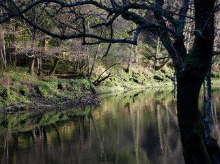 Aguas de un río en la montaña de Galicia