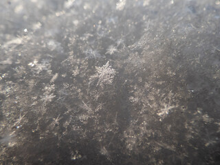 Textured white snow surface composed of beautiful geometrical snowflakes
