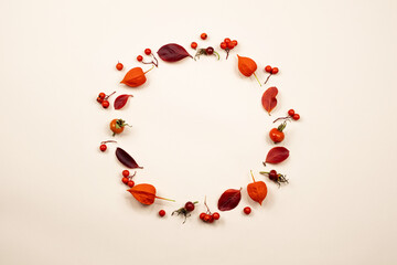 autumn composition. a wreath of autumn red leaves, rosehip berries, rowan berries and physalis. Autumn flat lay. Autumn fall concept, Flat lay, top view. thanksgiving day concept
