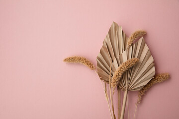 Dried tropical palm tree leaf and grass floral decoration on a pastel pink background