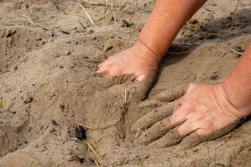 Wet hands in the sand.