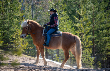 Woman horseback riding in forest