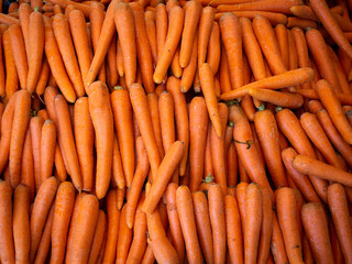 Carrot background. Macro.