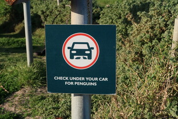 Funny warning road sign saying to check under your car for penguins in parking area near Boulders...