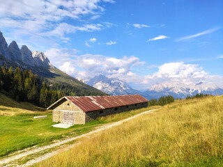 Alpine byre in a meadow against woodland and mountains. Malga Losch, Rifugio Scarpa - Gurekian, Mount Agner, Pale di San Martino, Dolomites 
