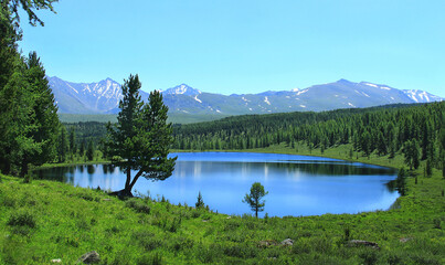 Lake Kidelyu in Altai in a mountain valley, around the lake there is a coniferous forest and green grass, two trees in the foreground, mountains with snow-capped peaks in the distance