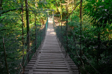 Fototapeta na wymiar wooden suspension bridge in the forest, jungle