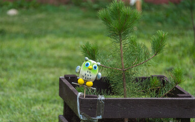 A toy owl sits on the wooden fence of a young pine tree