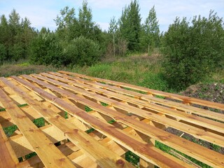 fence in the forest