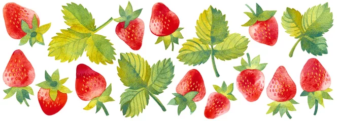 Fotobehang Watercolor set of strawberry fruits and leaves, hand painted elements on a white background, decorative botanical illustrations © Olga Begak Art