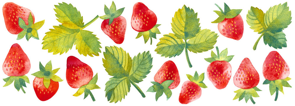 Watercolor set of strawberry fruits and leaves, hand painted elements on a white background, decorative botanical illustrations