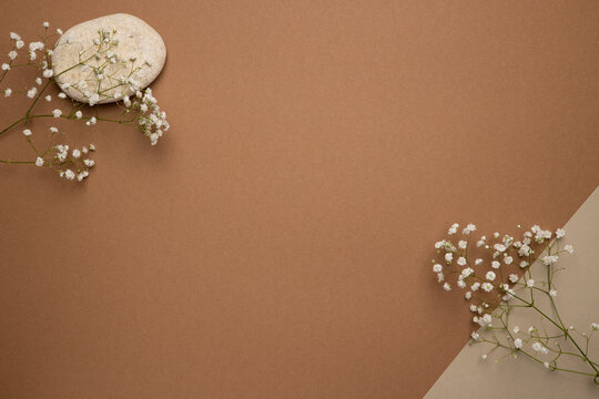 Dry flower branch and stone on a light brown background. Trend, minimal concept with copyspace