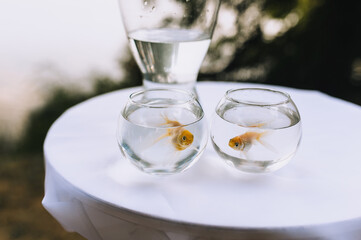 Small two goldfish swim in glass jugs, standing on a round table with a white tablecloth.