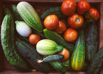 Fresh autumn harvest in a wooden box. Tomatoes and cucumbers. Top view
