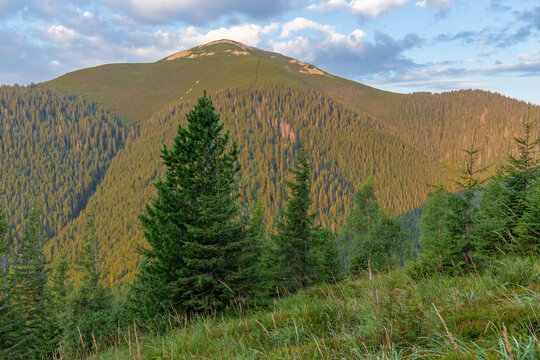 Natural landscape of the Carpathian mountains. Gorgany region, Grofa mountain, Grofa landscape reserve, Ukraine.