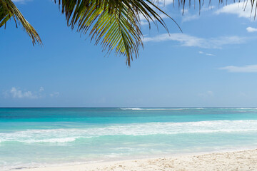 Panoramic view of a tropical beach