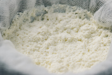 Straining homemade ricotta cheese with cheese cloth