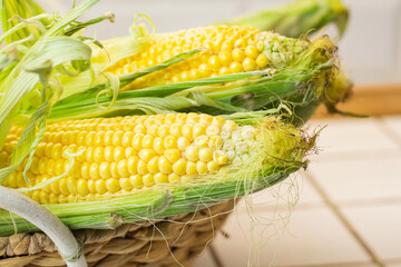 Organic fresh farm corn on the cob on white plates, flat lay view from above, autumn mexican...