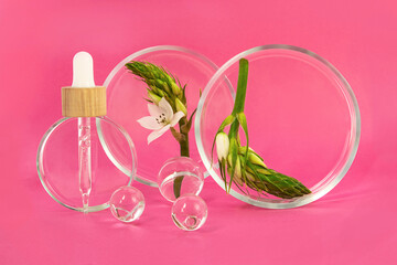 Petri dishes staying on the pink backgrounds with flower branch inside.Glass balls near it,glass pipette with wooden cover staying on it.Concept of the research and creating cosmetics.
