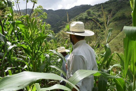 Turismo Rural, Huit&eacute;, Guatemala, Centroam&eacute;rica, Paisaje.