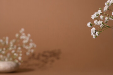 Dry flower branch on a light brown background. Trend, minimal concept with dark shadow with copyspace