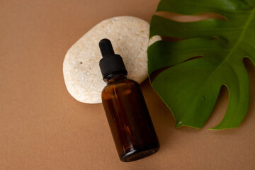 Brown glass bottle dropper with cosmetic oil with monstera plant and stone on terracotta background, closeup.