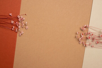Dry flower branch on a light brown background. Trend, minimal dried concept with copyspace