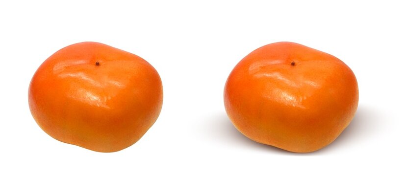 1 013 Best リアルイラスト Images Stock Photos Vectors Adobe Stock