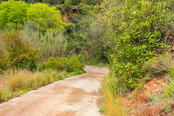 Fototapeta premium Hiking route in the province of Valencia on a sunny day
