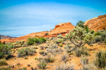 White Navajo Sandstones in Snow Canyon State Park, Utah