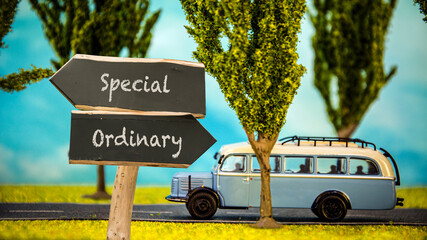 Street Sign Special versus Ordinary