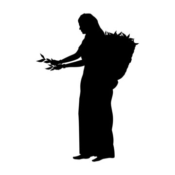 Silhouette Indian woman collecting the leaves of green tea.