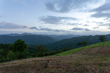 agricultural landscape of hill tribes green grass evening sky On top of a hill in Chiang Mai, Thailand. Background image. There is space for the text above.