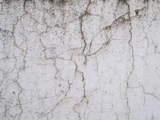 Obraz premium White cracked wall abstract background texture pattern.