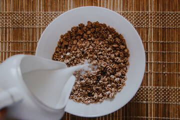 chocolate granola in a white plate with milk