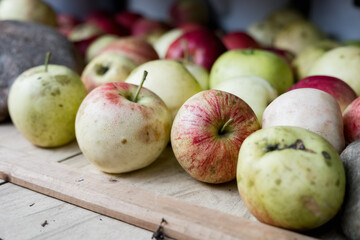 a lot of garden ripe apples lie on a light wooden surface