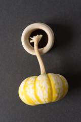 ornamental or decorative mini pumpkin with a wooden ring on gray