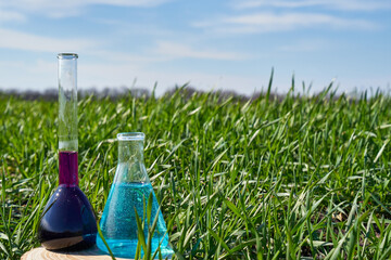 Image of a glass flask with a chemical solution on the background of young shoots of wheat.