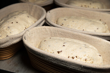 Raw wholemeal cereal bread dough in a dish lined with baking cloth. Craft bakery. Healthy and wholesome food