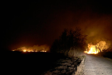 Wildfires. Burning estuary. Fire in the steppe.