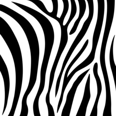 Zebra seamless pattern, vector design and isolated background seamless.