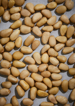pine nuts close up on white background detail
