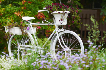 Fototapeta na wymiar White bike in the garden among flowers. Landscaping. Garden decoration. Scenic view. Selective focus.
