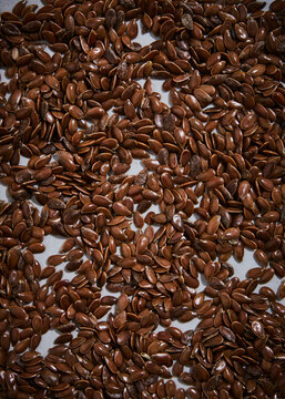 linseed close up macro