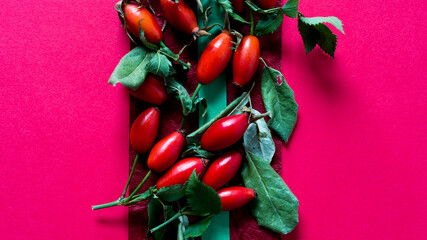organic objects arranged on a red background