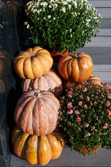 Stack of different pumpkins with flowers near the house. House decoration before Halloween and holidays. Vertical photo.