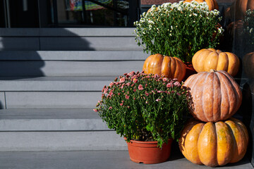 Stack of different pumpkins with flowers near the house or restaurant. House decoration before Halloween and holidays. Copy space.