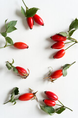 wild rose hips on a white background