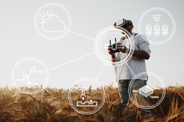 Man farmer standing in wheat field and controlling drone. Technologies in agriculture concept
